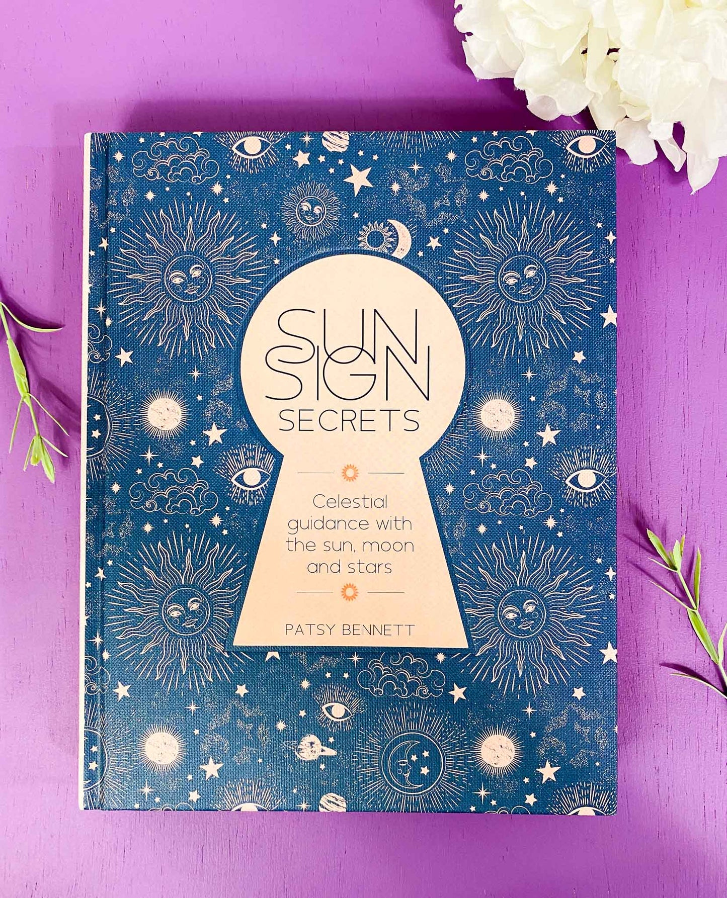 Sun Sign Secrets: Celestial Guidance with the Sun, Moon and Stars